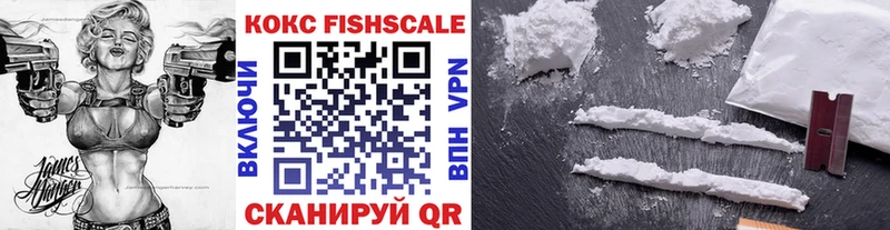 Купить  Заринск  Кокаин Fish Scale 