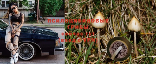 MDMA Зеленокумск