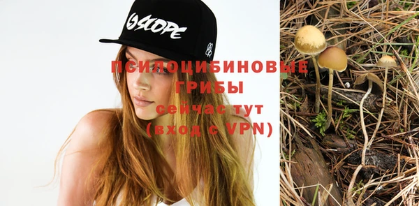 амфетамин Зеленодольск