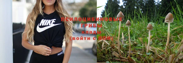 MDMA Зеленокумск